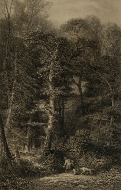 Interiér lesa od Karl Bodmer