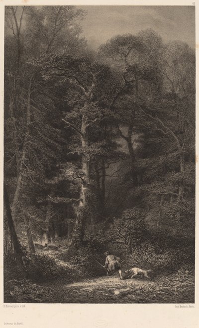 Interiér lesa. od Karl Bodmer