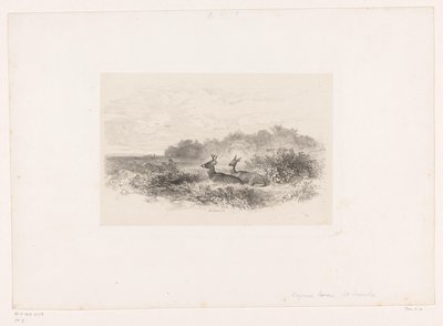 Krajina se dvěma jeleny běloocasými Krajiny se zvířaty (název série) od Karl Bodmer