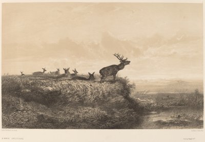 Ráno od Karl Bodmer