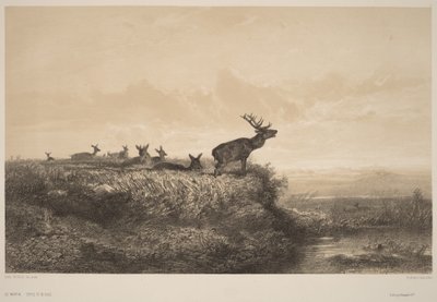 Ráno od Karl Bodmer