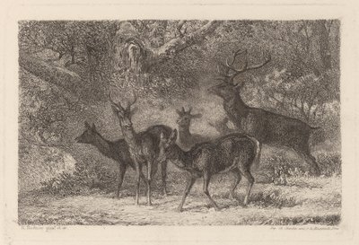 stádo od Karl Bodmer