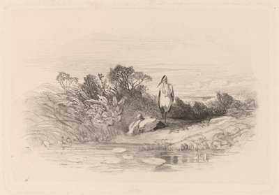 Dvě volavky od Karl Bodmer