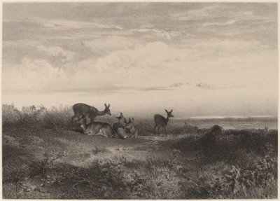 Zadní. od Karl Bodmer
