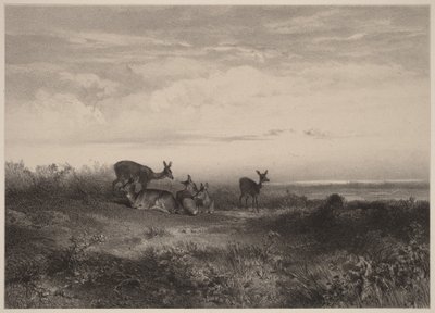 Laně od Karl Bodmer