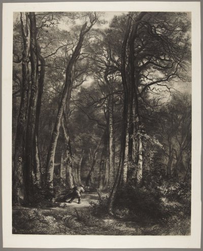 Muž v lese od Karl Bodmer