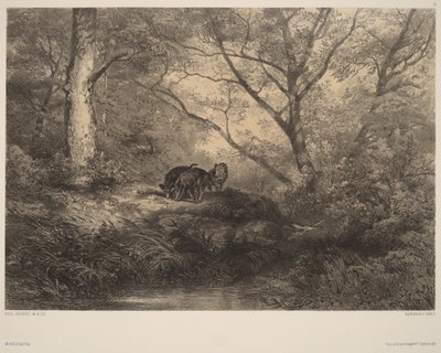 Selata divokého prasete od Karl Bodmer