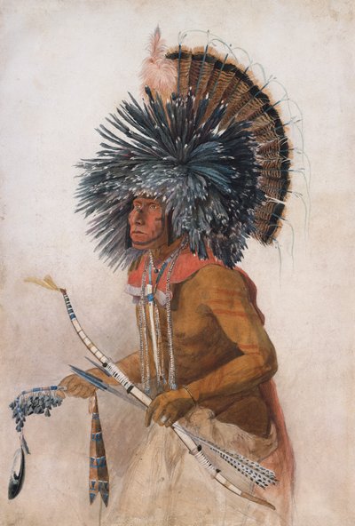 Pehriska-Ruhpa, bojovnice Hidatsa, v kostýmu psího tance od Karl Bodmer