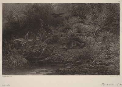 Liška na číhané od Karl Bodmer