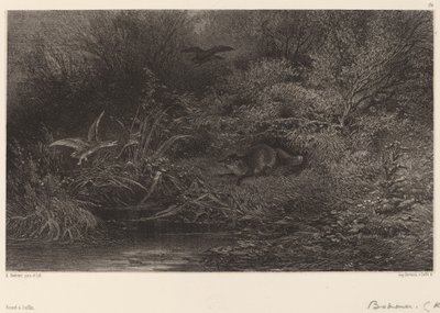 Liška na lovu. od Karl Bodmer