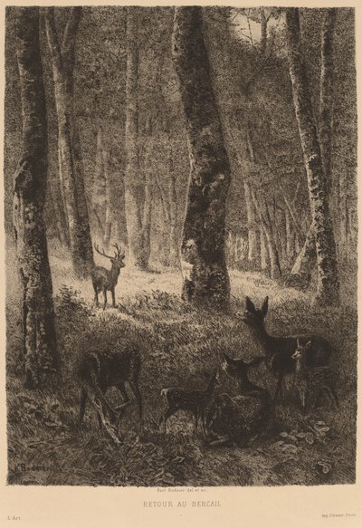 Zpět doma od Karl Bodmer