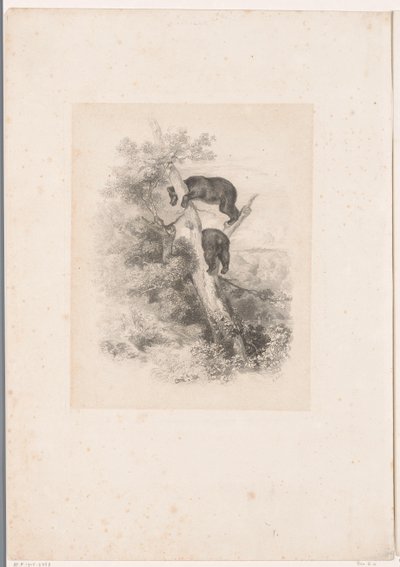 Dva medvědi na stromě Krajiny se zvířaty (název série) od Karl Bodmer