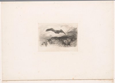 létající orel Krajiny se zvířaty (název série) od Karl Bodmer