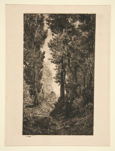 Rostoucí silnice v Auvers od Karl Daubigny