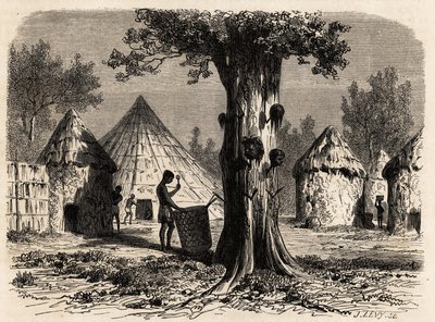 Strom války, ve vesnici Djour, oblast Bahr-el-Gazal, Súdán, kresba Karla Girardeta (1813-1871) ilustrující cestu k řece gazel A. Bolognesi v letech 1856-1857. Rytina v „“Le tour du monde““, editoval Edouard Charton od Karl Girardet