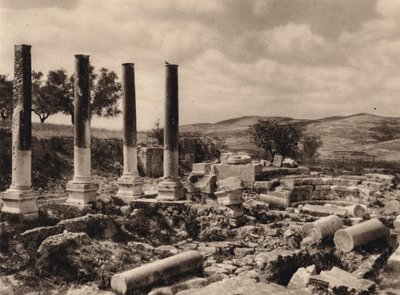 Samaria, Ruiny Herodova paláce (černobílá fotografie) od Karl Grober