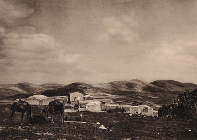 Samaří, pohled z ruin Herodova paláce (č/b foto) od Karl Grober