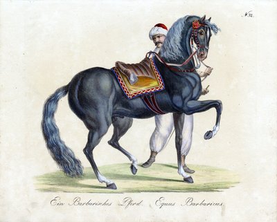  od Karl Joseph Brodtmann