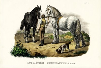 Anglický pit Horse, 1824 od Karl Joseph Brodtmann