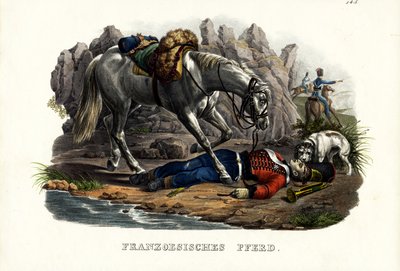 Francouzský kůň, 1824 od Karl Joseph Brodtmann