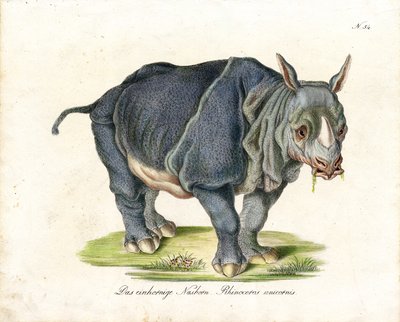  od Karl Joseph Brodtmann