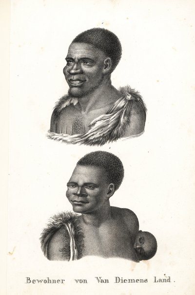 Domorodci z Tasmánie, Van Diemen