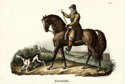 Španělský lovecký kůň, 1824 od Karl Joseph Brodtmann