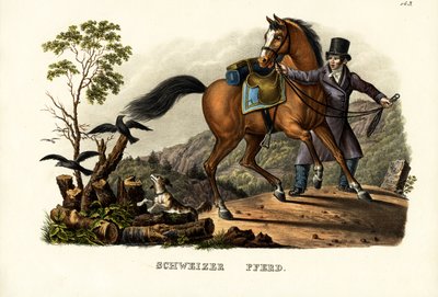 Švýcarský kůň, 1824 od Karl Joseph Brodtmann