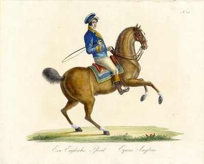  od Karl Joseph Brodtmann