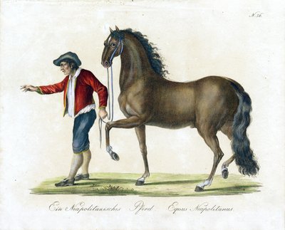  od Karl Joseph Brodtmann