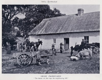 Irish Farmyard (č/b foto) od Karl Karlovich Piratsky