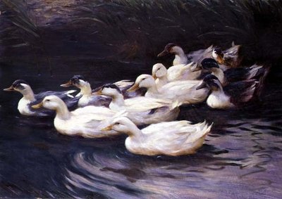 Kachny od Karl Lindner