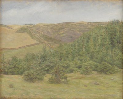 Svanninge Hills, Funen od Karl Schou