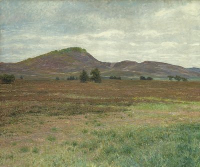 Krajina poblíž Harburgu (olej na plátně) od Karl Wilhelm Arthur Illies