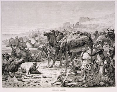 Stříhání velbloudů od Karl Wilhelm Gentz