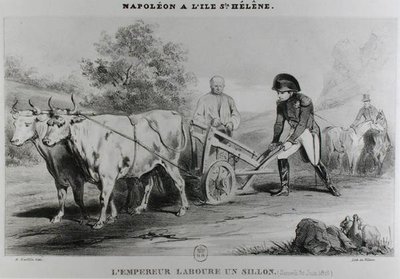 Napoleon (1769-1821) na Svaté Heleně, vyryl Francois le Villain (fl.1819-22) od Karl after Loeillot-Hartwig