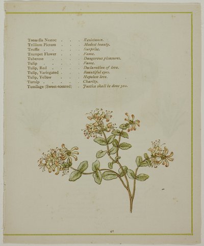Valerian Through Volkamenia, z The Illuminated Language of Flowers od Kate Greenaway