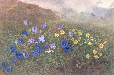 Jarní horské květiny, 1896 od Kate fl.1873 96 Goodwin