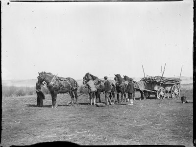 Broomfield, Broomfield And Kingswood, Maidstone, Kent, 06.04.1904 (černobílá fotografie) od Katherine Jean Macfee