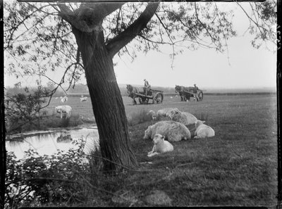 Luckhurst, Lower Road, Stone-Cum-Ebony, Ashford, Kent od Katherine Jean Macfee