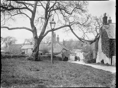 Village Green, Burton Bradstock, Dorset, 24. dubna 1922 – 8. května 1922 (černobílá fotografie) od Katherine Jean Macfee