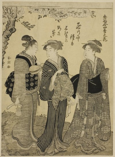 Cherry Blossoms in Spring, ze série „Nejlepší ódy na květiny čtyř ročních období (Shuku awase, shiki no hana)“ od Katsukawa Shuncho