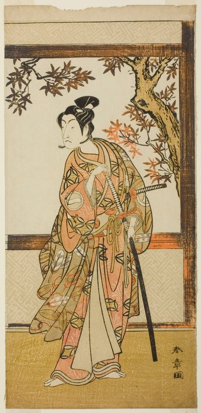 Čaj C a r Ichikawa Gate Čistá jako Učitel