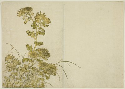 Zimní květiny: Chryzantémy, z knihy "Zrcadlo krásných žen z požitkářských čtvrtí (Seiro bijin awase sugata kagami)," sv. 1 od Katsukawa Shunsho
