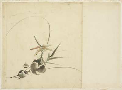 Ovocný sprej s vážkou od Katsushika (school of) Hokusai
