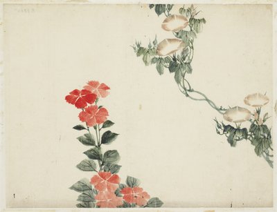 Morning Glory a červené květy od Katsushika (school of) Hokusai