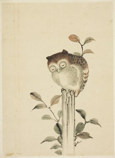 Sova spí na pařezu od Katsushika (school of) Hokusai