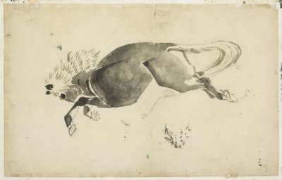 Běžící kůň, kolem 1815-1849 (inkoust na papíře) od Katsushika (school of) Hokusai