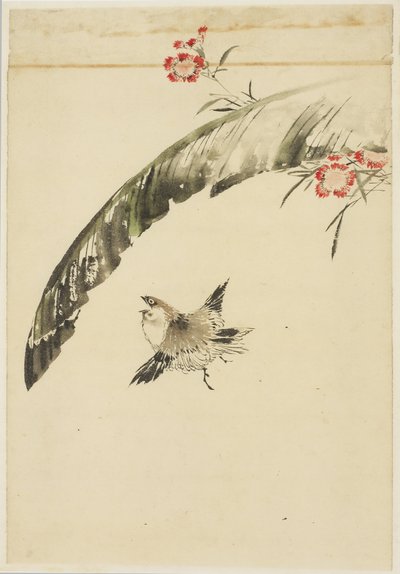 Vrabec a banánový list a růžové, 1615-1868 (inkoust a barva na papíře) od Katsushika (school of) Hokusai