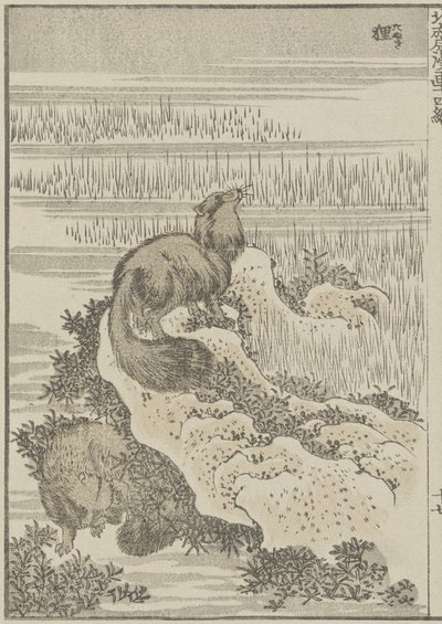 Jezevec, c. 1840 (dřevotisk) od Katsushika Hokusai